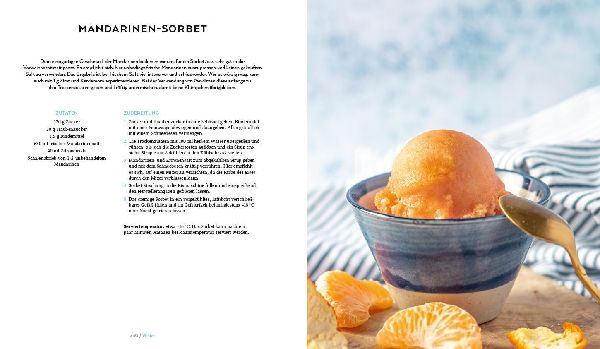 Die vegane Eis-Bibel