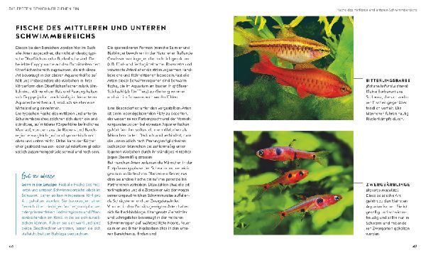 Aquarien - Spaß für Kinder
