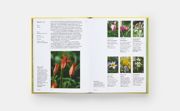 A Year in Bloom