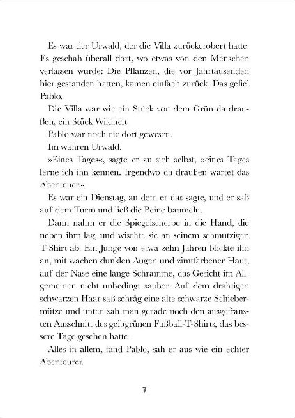 Die Amazonas-Detektive (Band 1) - Verschwörung im Dschungel