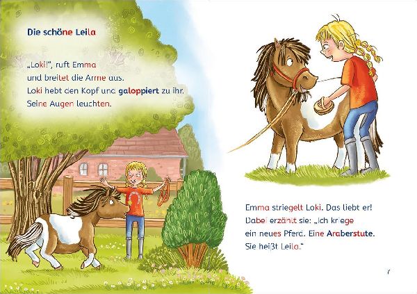 Leselöwen 1. Klasse - Eine ponystarke Freundschaft