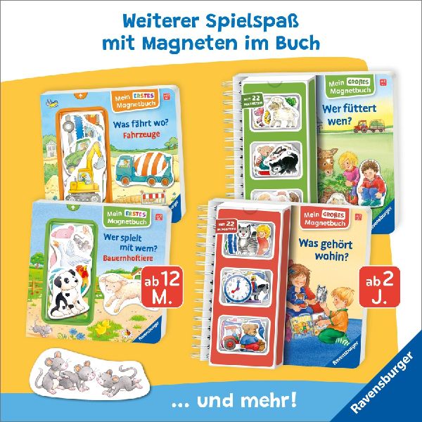 Mein großes Magnetbuch - Wer fährt wohin?