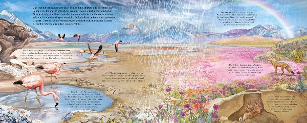 Alles ist im Wandel - Wie sich die Natur verändert
