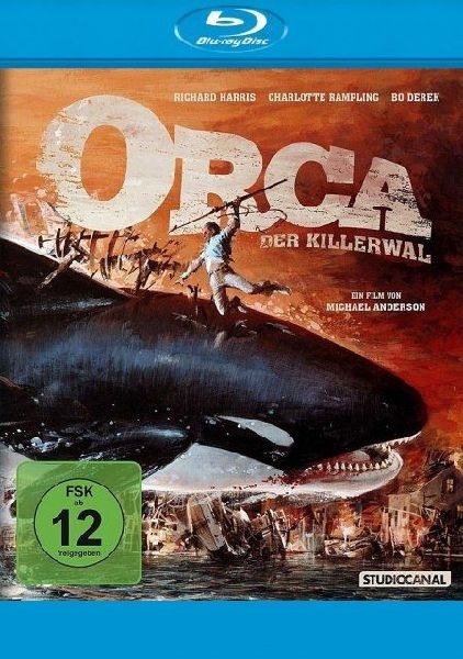 Orca der Killerwal