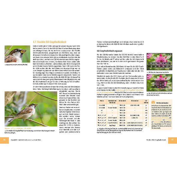 Canon EOS R5 Mark II - Das umfangreiche Praxisbuch zu Ihrer Profi-Kamera