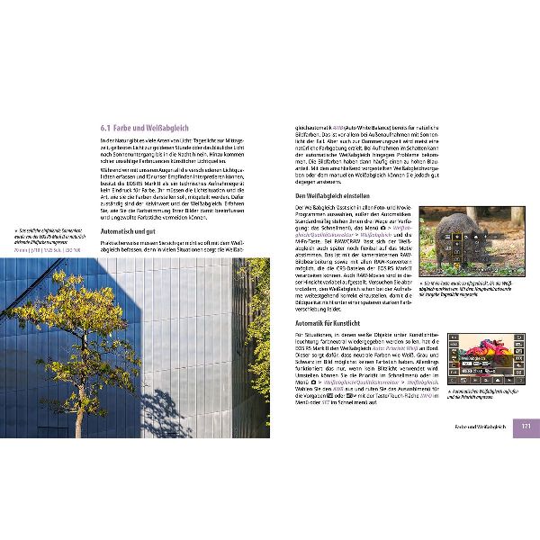 Canon EOS R5 Mark II - Das umfangreiche Praxisbuch zu Ihrer Profi-Kamera
