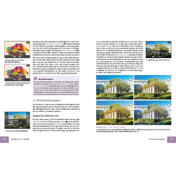 Canon EOS R5 Mark II - Das umfangreiche Praxisbuch zu Ihrer Profi-Kamera