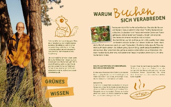 Peter Wohllebens Schule des Waldes