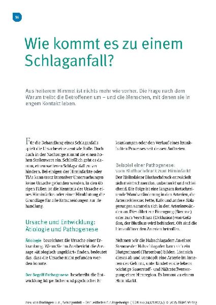 Schlaganfall - Der Leitfaden für Angehörige