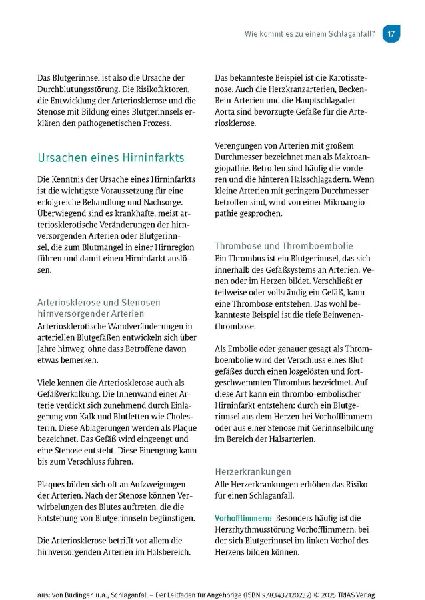 Schlaganfall - Der Leitfaden für Angehörige