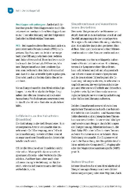 Schlaganfall - Der Leitfaden für Angehörige