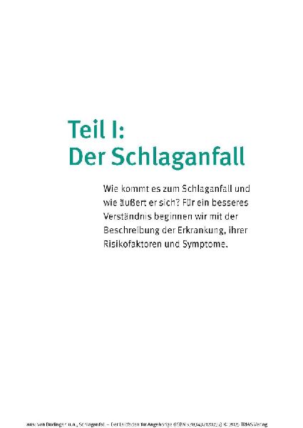 Schlaganfall - Der Leitfaden für Angehörige