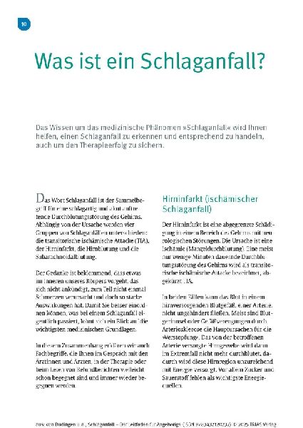 Schlaganfall - Der Leitfaden für Angehörige