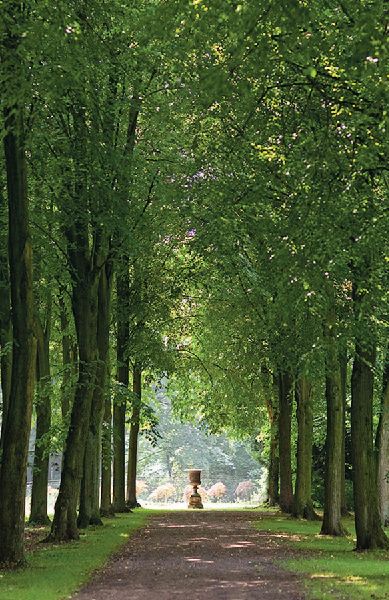 In einem fremden Park