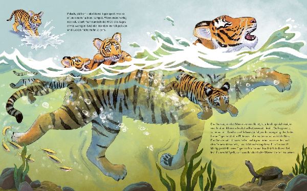 Der kleine Tiger - Zu Hause in Indien