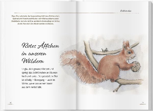 Von Elstern, Eichhörnchen und Erdhummeln