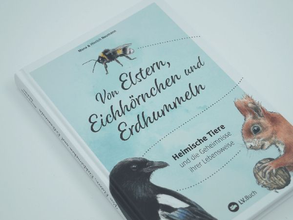 Von Elstern, Eichhörnchen und Erdhummeln
