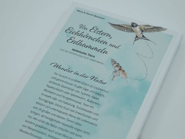 Von Elstern, Eichhörnchen und Erdhummeln