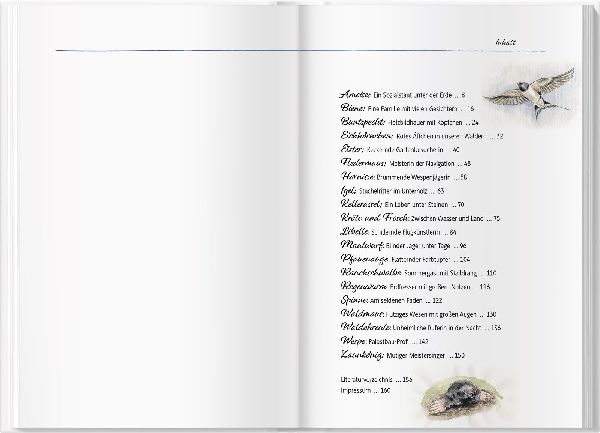 Von Elstern, Eichhörnchen und Erdhummeln