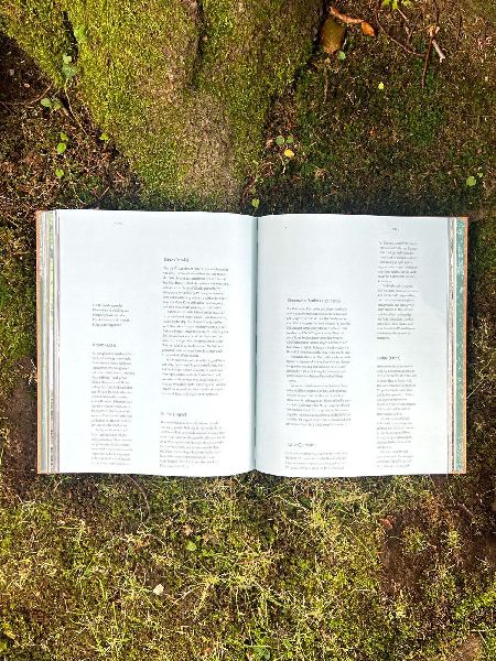 THE WOODS