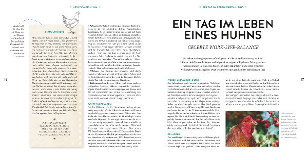 Hühner Basics
