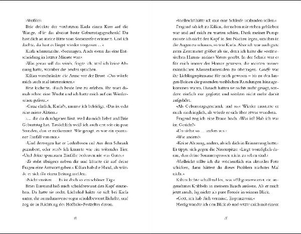 Vielleicht nie (Vielleicht-Trilogie, Band 2)