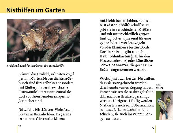 Alle Vögel sind schon da