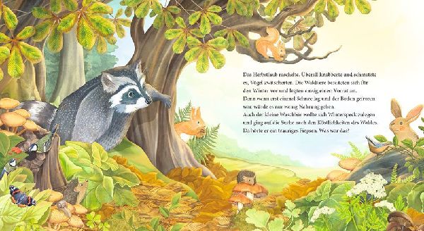 Der kleine Waschbär findet neue Freunde - ein Bilderbuch für Kinder ab 2 Jahren