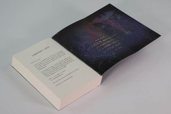 Academy of Lies (Band 1) - Anatomie einer Verschwörung