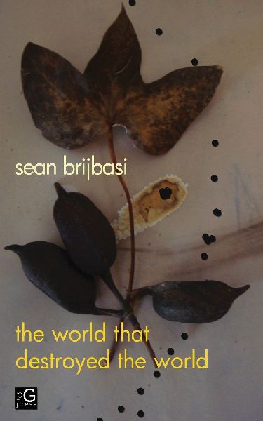 The world that destroyed the world: a poem
