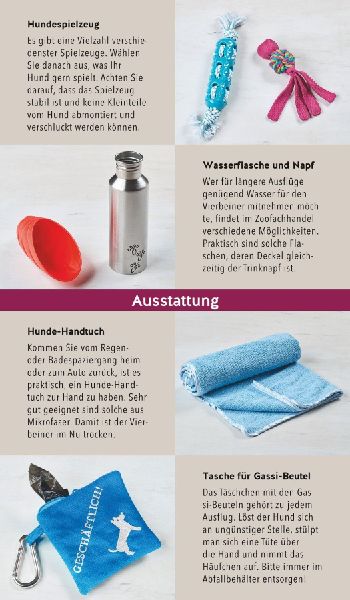 Hunde-Gassi-Box