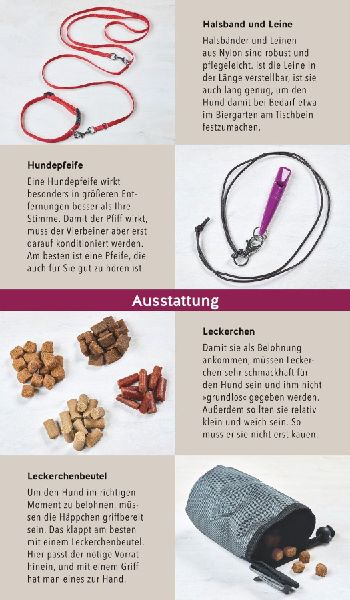 Hunde-Gassi-Box