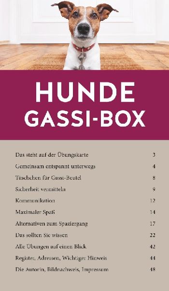 Hunde-Gassi-Box