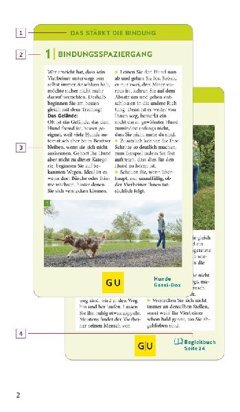 Hunde-Gassi-Box