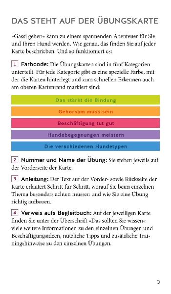 Hunde-Gassi-Box