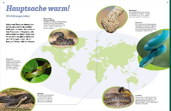 WAS IST WAS Schlangen. Schuppenhaut und Supersinne