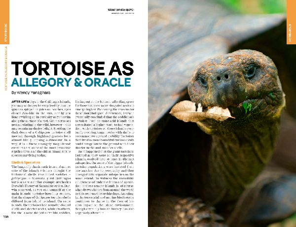 Lonely Planet Ecuador & the Galapagos Islands