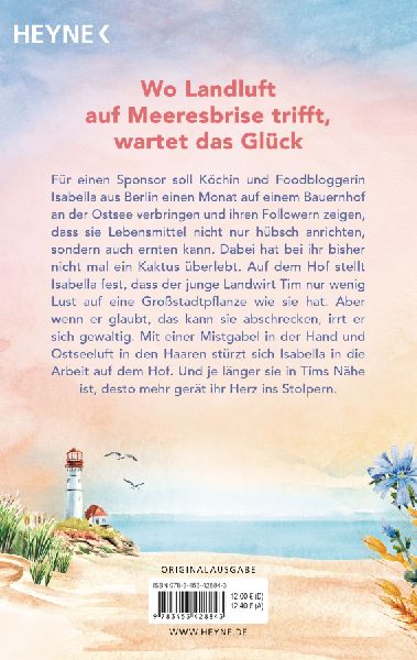 Muschelsommer