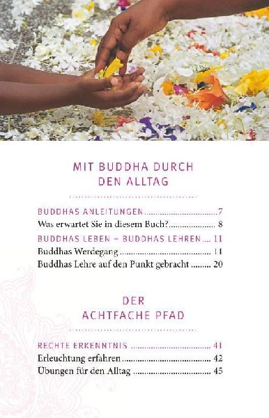 Der kleine Alltagsbuddhist