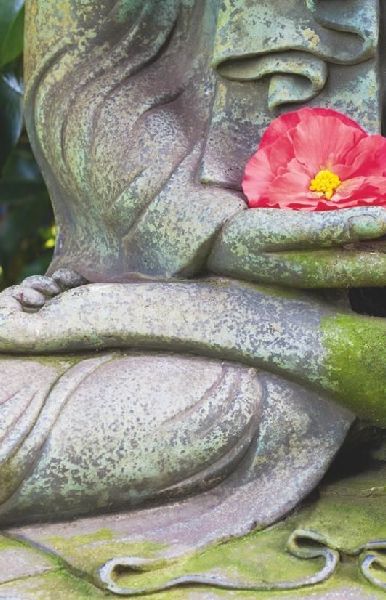 Der kleine Alltagsbuddhist