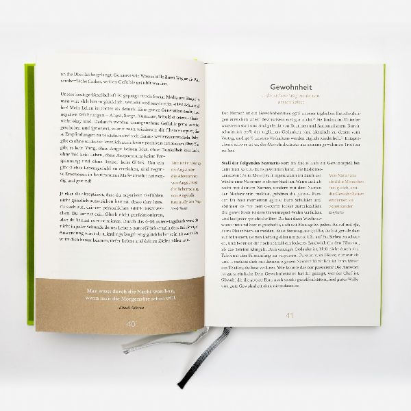 Das 6-Minuten-Tagebuch (limone)