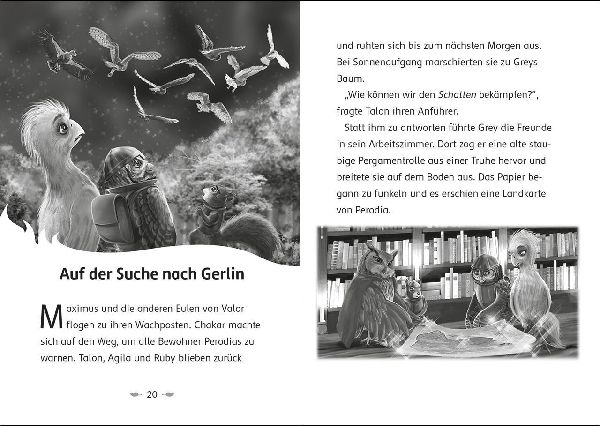 Der letzte Feuerfalke und die Rückkehr des Schattens (Band 12)
