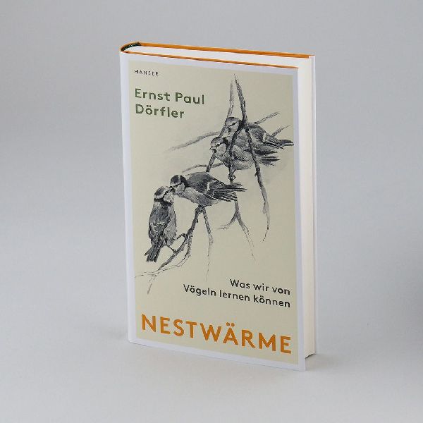 Nestwärme