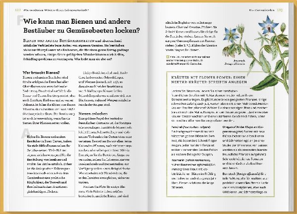 Wie verdienen Würmer ihren Lebensunterhalt?