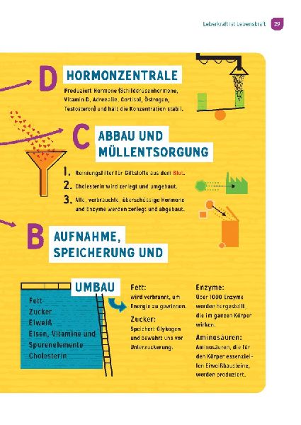 Wunderleicht Leberreinigung