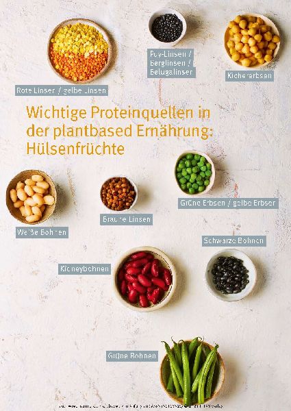 Plantbased von Anfang an: Baby & Kleinkind, Schwangerschaft & Stillzeit