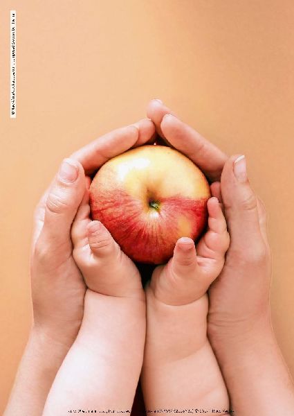 Plantbased von Anfang an: Baby & Kleinkind, Schwangerschaft & Stillzeit