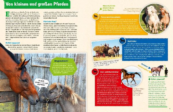 Was ist was: Pferde und Ponys