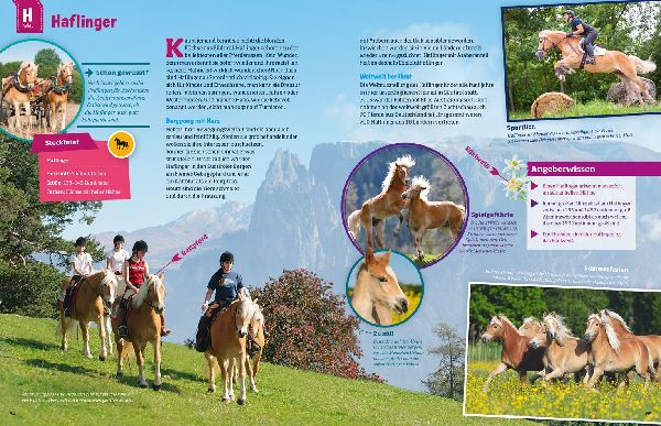 Was ist was: Pferde und Ponys