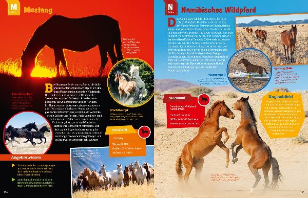 Was ist was: Pferde und Ponys